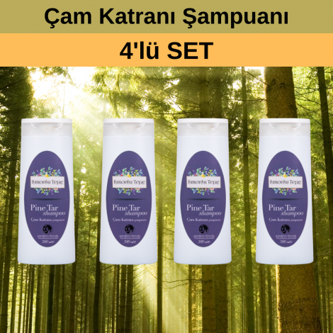 Set Ürün 4 x Çam Katranı Şampuanı